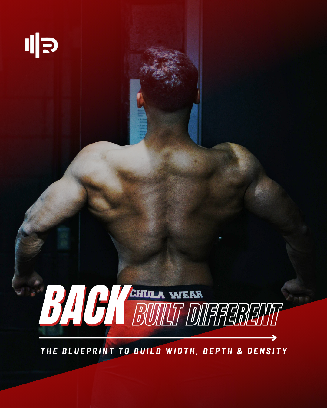 Back Workout